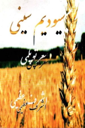سېودیم سېنی